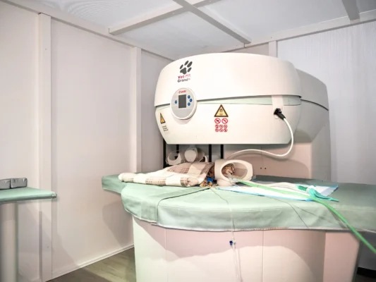 Ressonància Magnètica