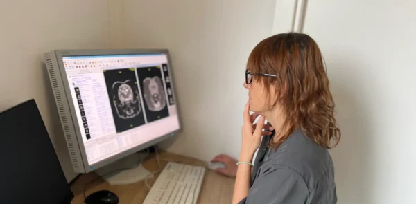 Xerrada Epilèpsia canina: claus per a un abordatge eficient