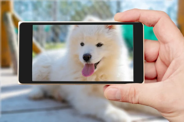 Concurs fotogràfic Calendari 2025