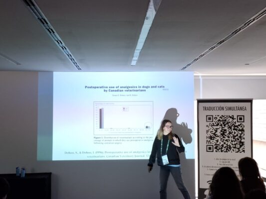 És l’ús d’analgèsics en ovariohisterectomia i castració suficient? Hi ha diferències entre Espanya i Mèxic?