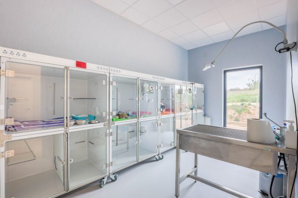 Sala hospitalització Hospital Veterinari Costa Brava