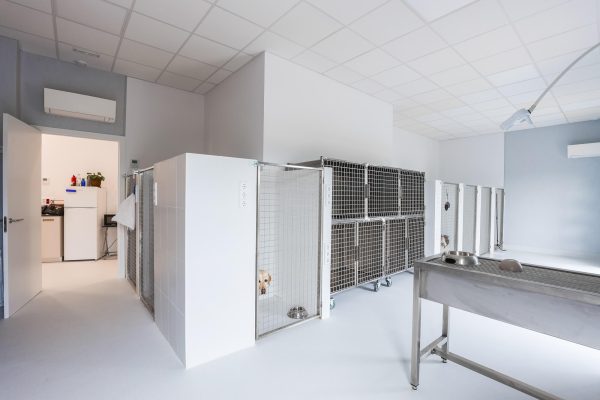 sala hospitalización perros Hospital Veterinari Costa Brava