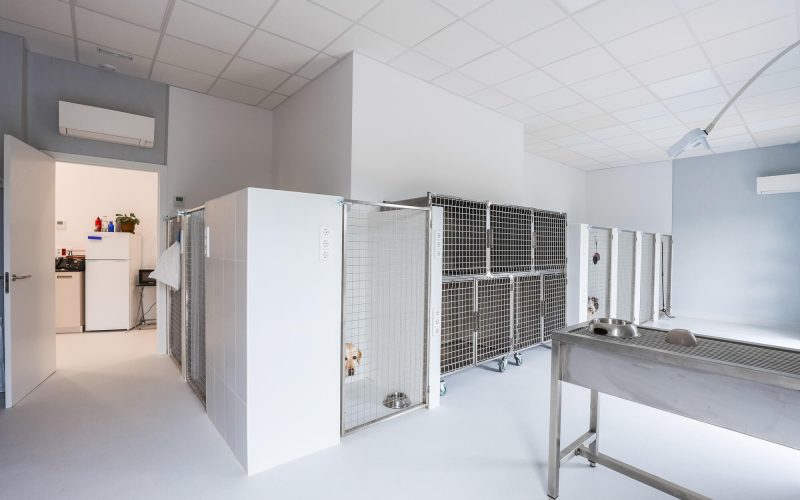 sala hospitalización perros Hospital Veterinari Costa Brava