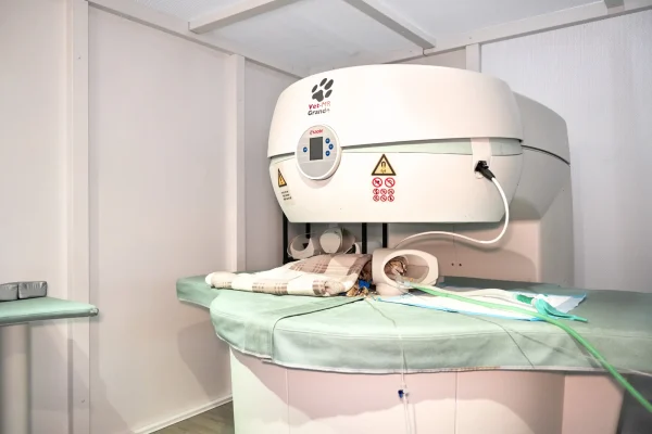 Resonancia Magnetica Hospital Veterinari Costa Brava Girona