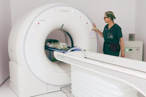 TAC en Hospital Veterinario Costa Brava