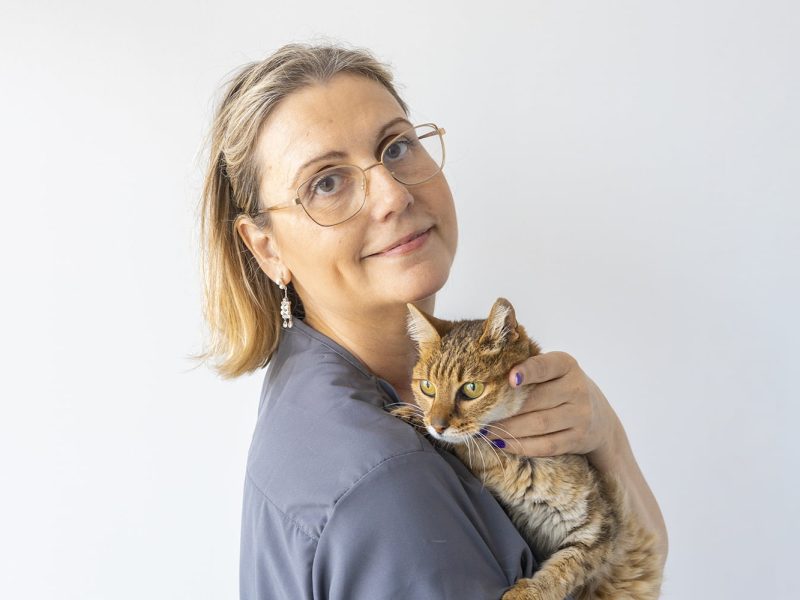 Veterinaria Hospital Veterinari Costa Brava de Palafrugell Veterinaria amb gat a Hospital Veterinari Costa Brava de Palafrugell