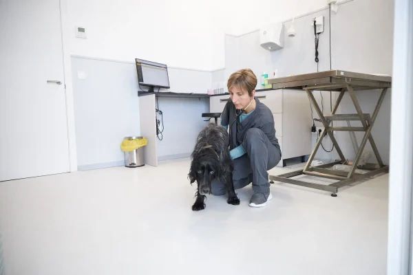 hvcostabrava-cardilogia