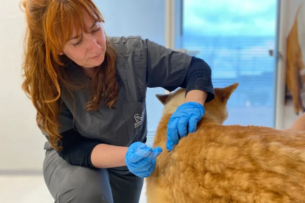 hvcostabrava-dermatologia