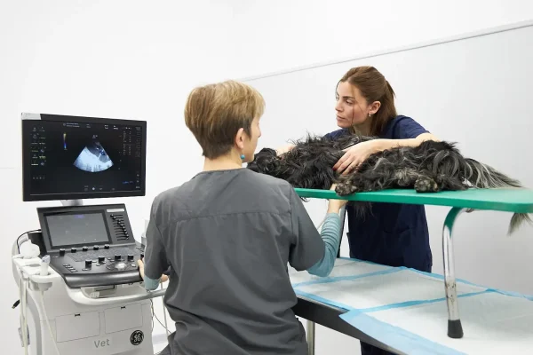 hvcostabrava-ecocardiografia