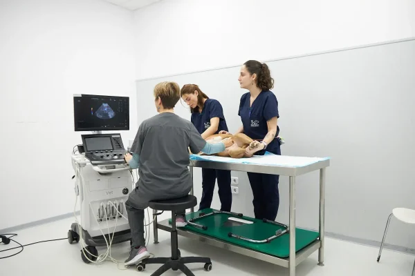 hvcostabrava-ecografia2