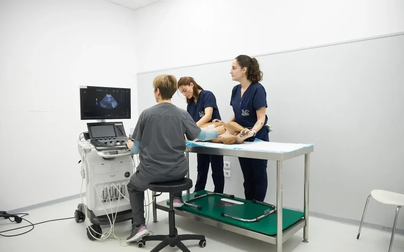 hvcostabrava-ecografia2