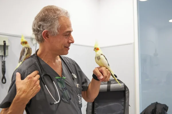 hvcostabrava-medicina-exotics