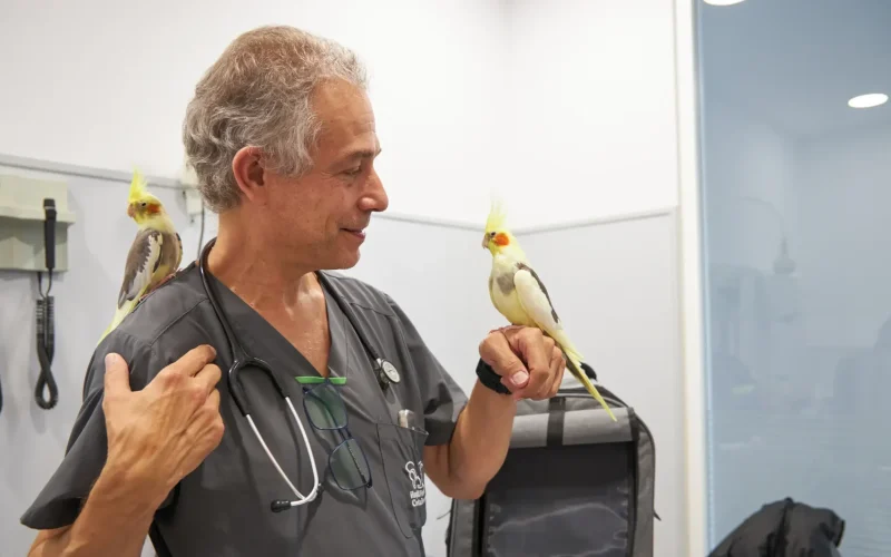 hvcostabrava-medicina-exotics