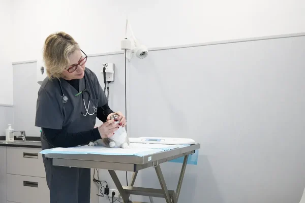 hvcostabrava-medicina-interna1