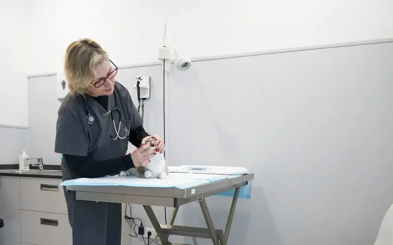 hvcostabrava-medicina-interna1