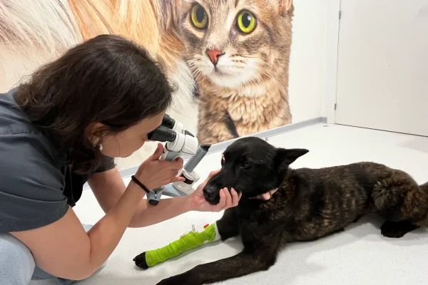 hvcostabrava-oftalmologia1