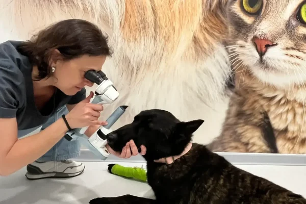 hvcostabrava-oftalmologia2