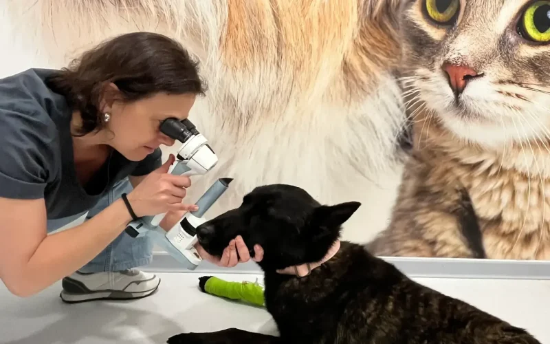 hvcostabrava-oftalmologia2