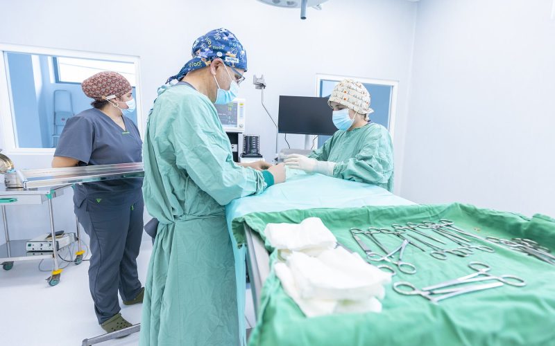 Cirurgia mascotes Hospital Veterinari Costa Brava