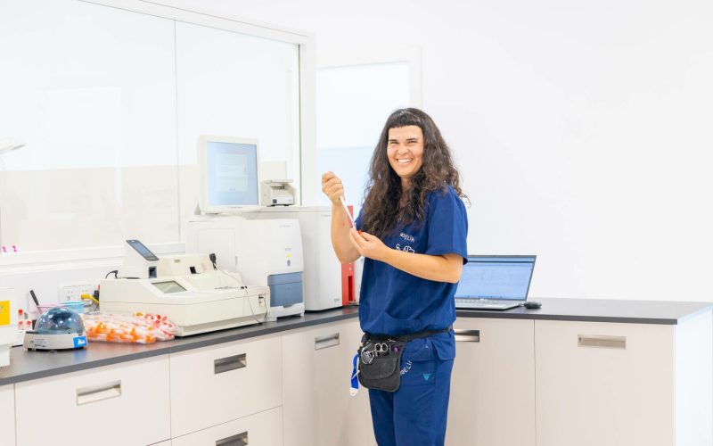 laboratori-hospitalveterinaricostabrava