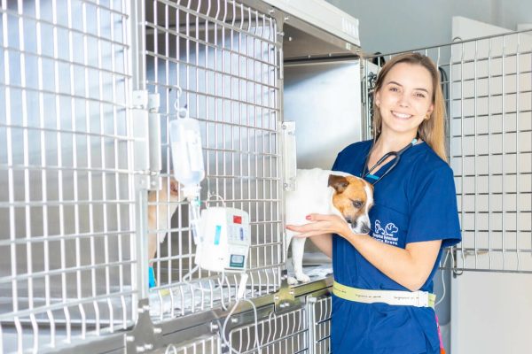 serveiguardia-hospitalveterinaricostabrava