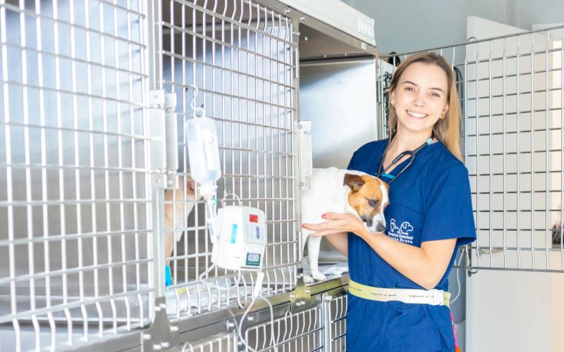 serveiguardia-hospitalveterinaricostabrava