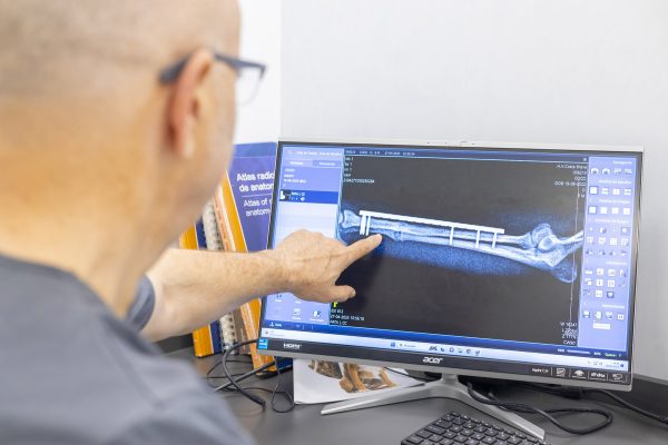 Vererinari revisa radiografia de traumatologia Hospital Veterinari Costa Brava