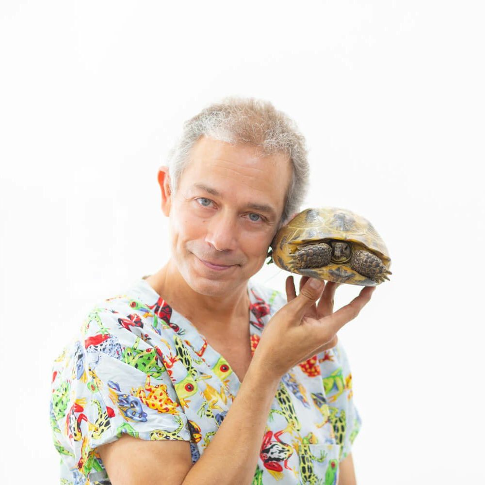Especialista exòtics a Hospital Veterinari Costa Brava de Palafrugell Xavier Valls especialista exòtics amb tortuga a Hospital Veterinari Costa Brava de Palafrugell